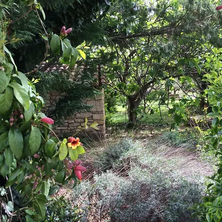 Les Aires Passageres Maison d'hôtes Sernhac
